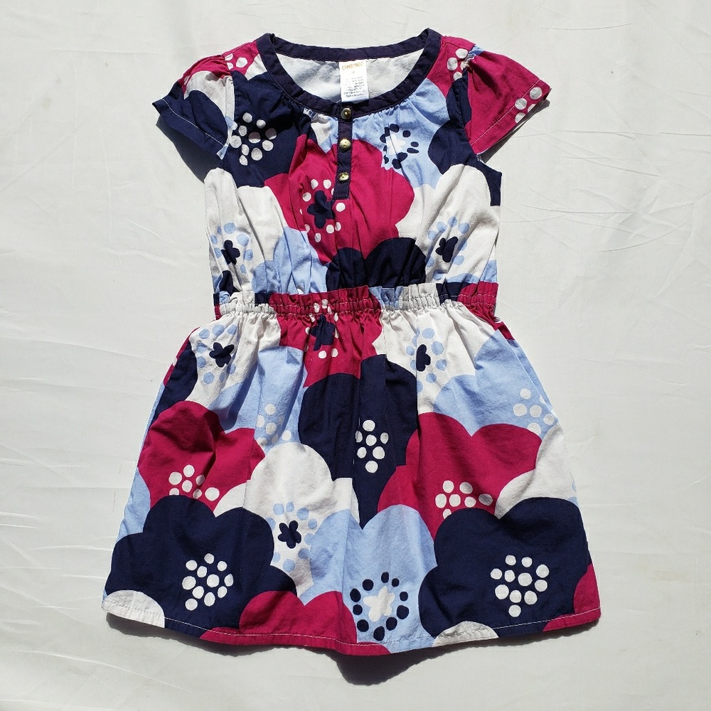 Gymboree Dress Size 4 Floral Charm Class Blue